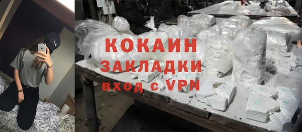 молекула духа Богородицк