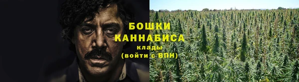 стафф Богородск