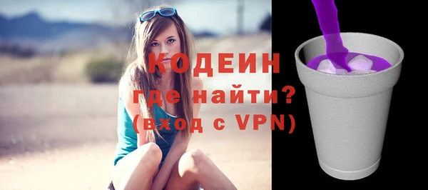 молекула духа Богородицк