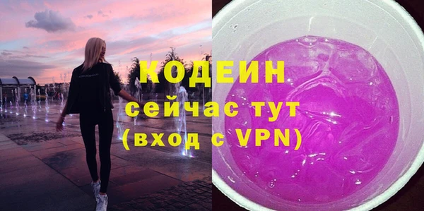 молекула духа Богородицк