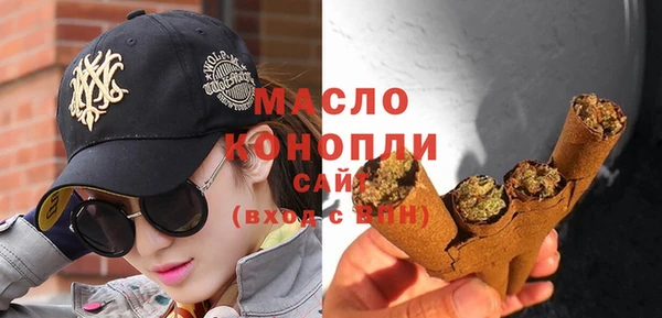 молекула духа Богородицк
