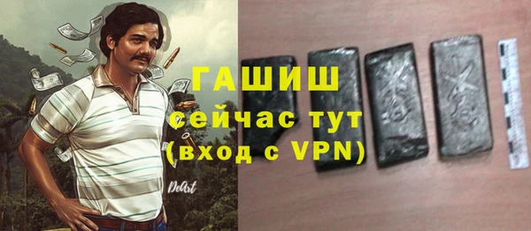 молекула духа Богородицк