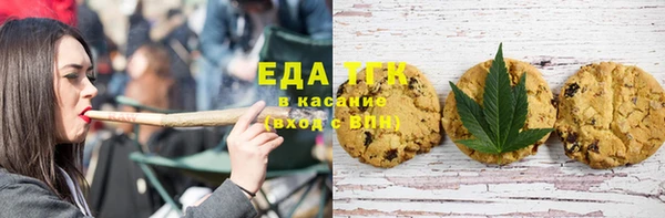 молекула духа Богородицк